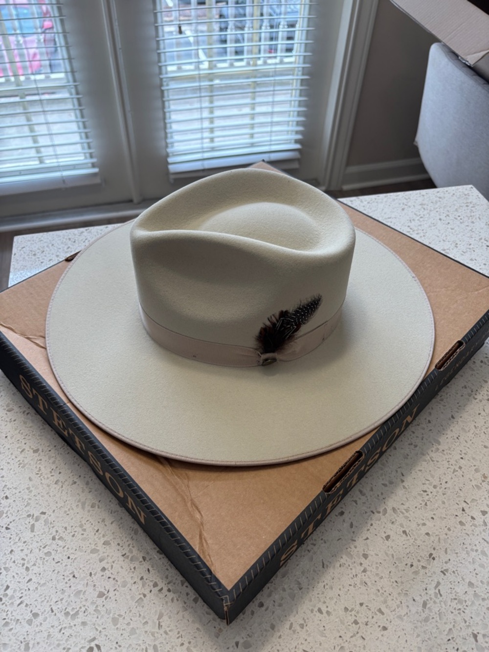 Stetson Men’s Cream Felt Ranch Hat with Feather Trim - Picture 2 of 8